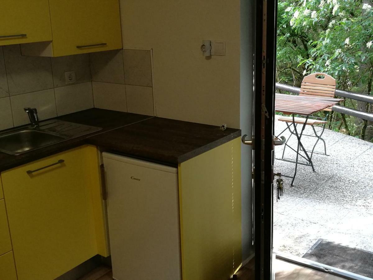 קרנייסקה גורה Apartments Jelka מראה חיצוני תמונה